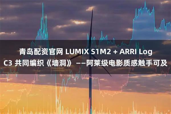 青岛配资官网 LUMIX S1M2 + ARRI LogC3 共同编织《墙洞》 ——阿莱级电影质感触手可及